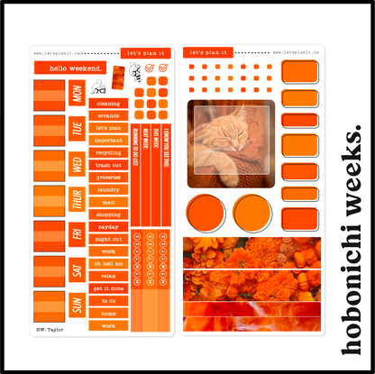 TAYLOR COLLECTION | Weekly Kits