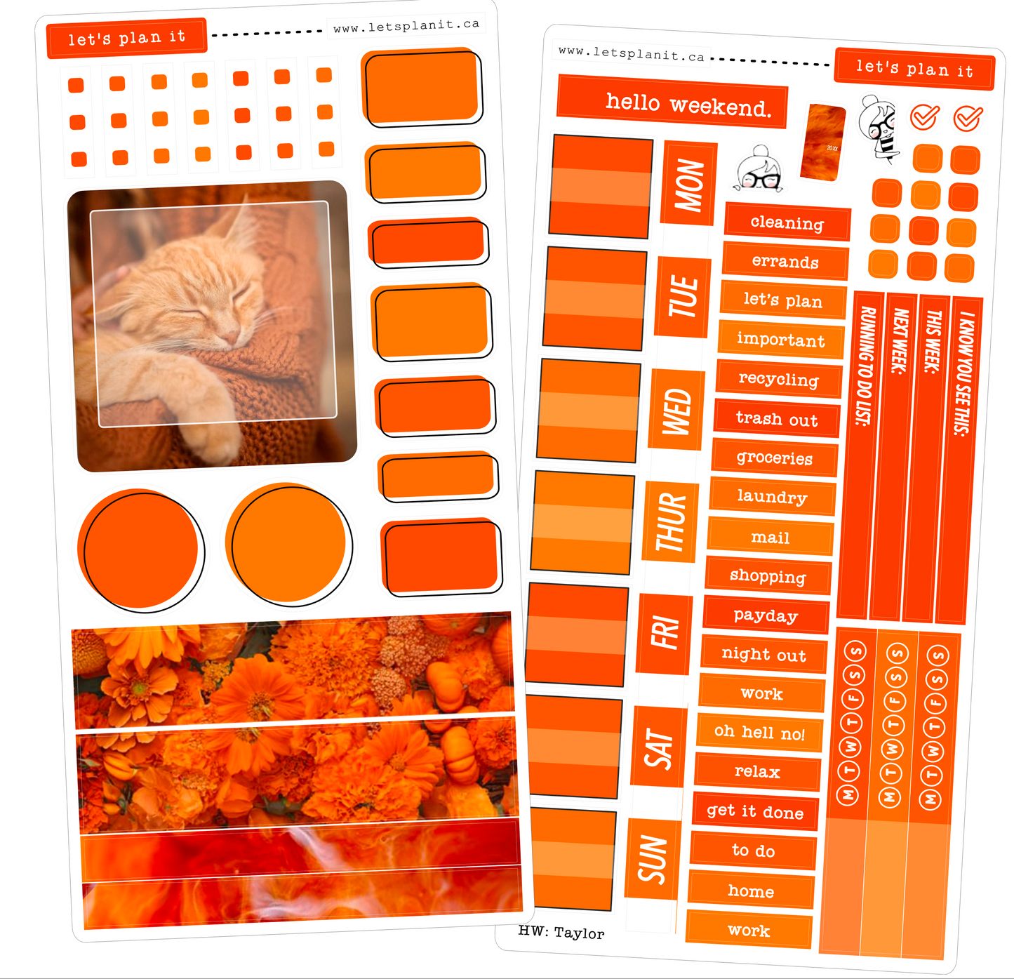 TAYLOR COLLECTION | Weekly Kits