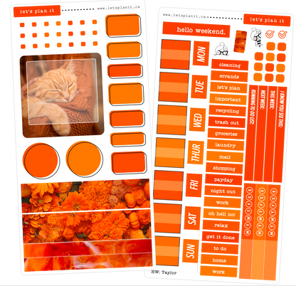 TAYLOR COLLECTION | Weekly Kits