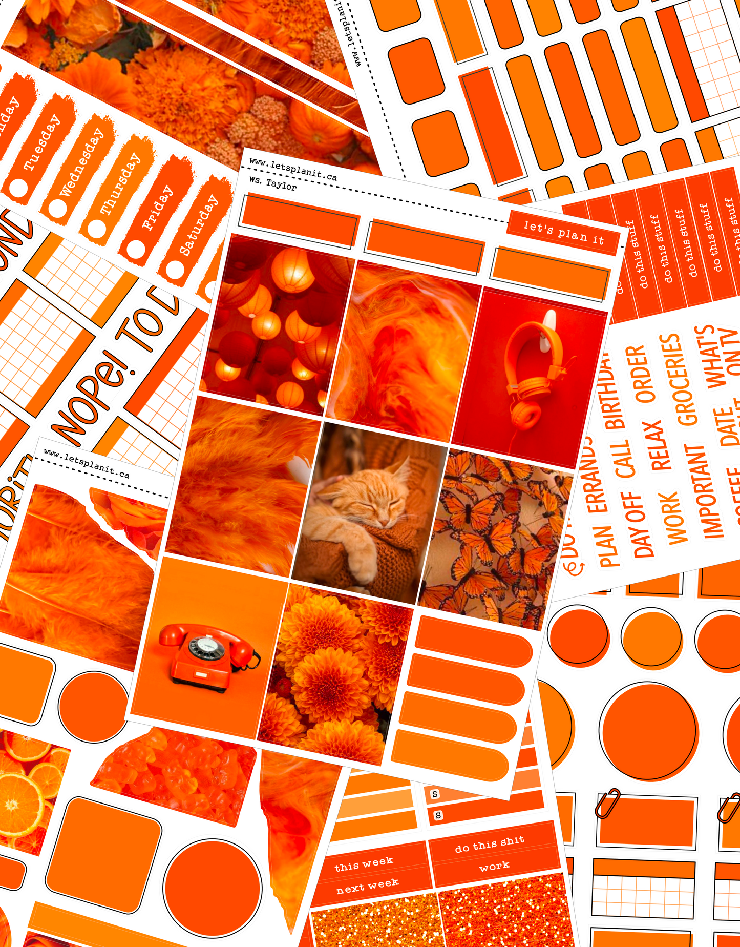 TAYLOR COLLECTION | Weekly Kits