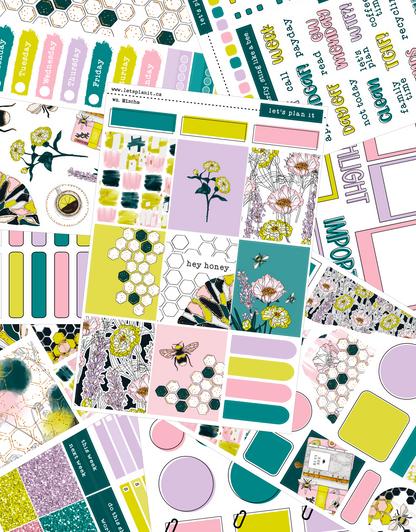 MISCHA COLLECTION | Weekly Kits