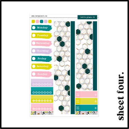 MISCHA COLLECTION | Weekly Kits