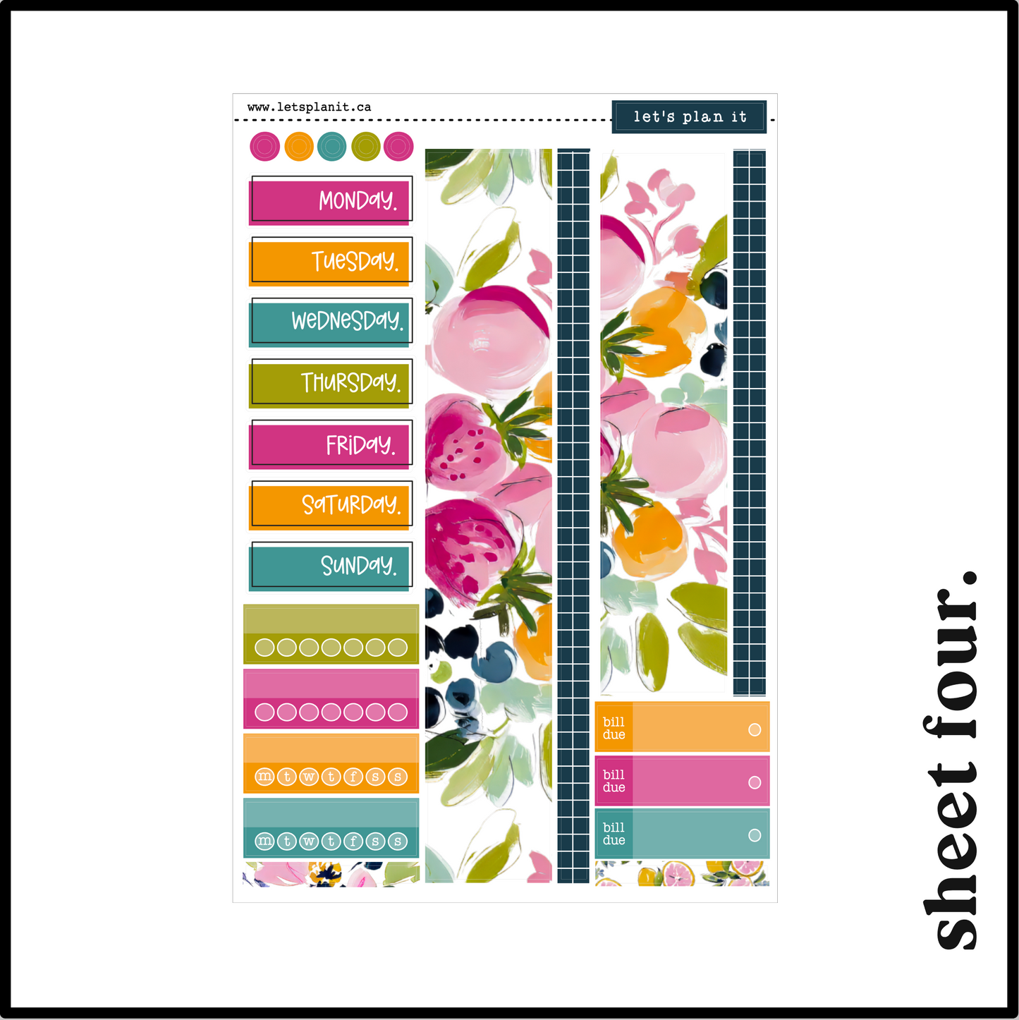 LUCIA COLLECTION | Weekly Kits