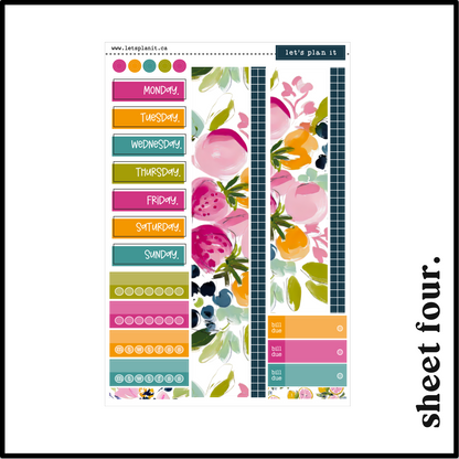 LUCIA COLLECTION | Weekly Kits