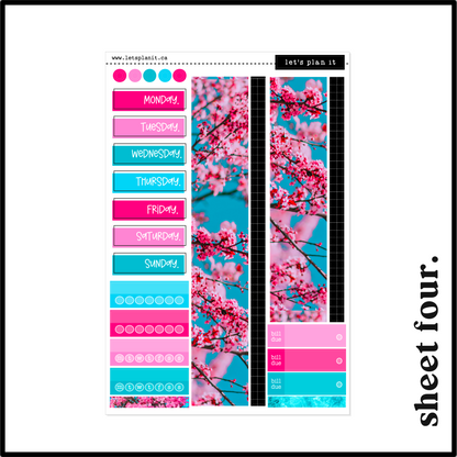 VERONICA COLLECTION | Weekly Kits