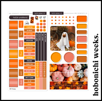 FINLEY COLLECTION | Weekly Kits