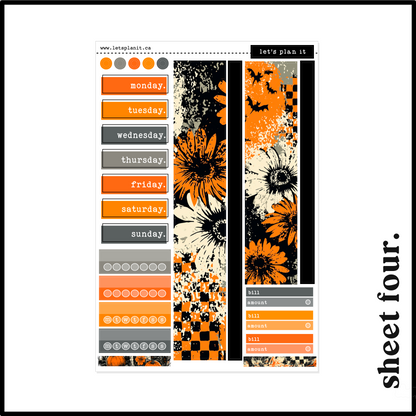 VERUCA COLLECTION | Weekly Kits