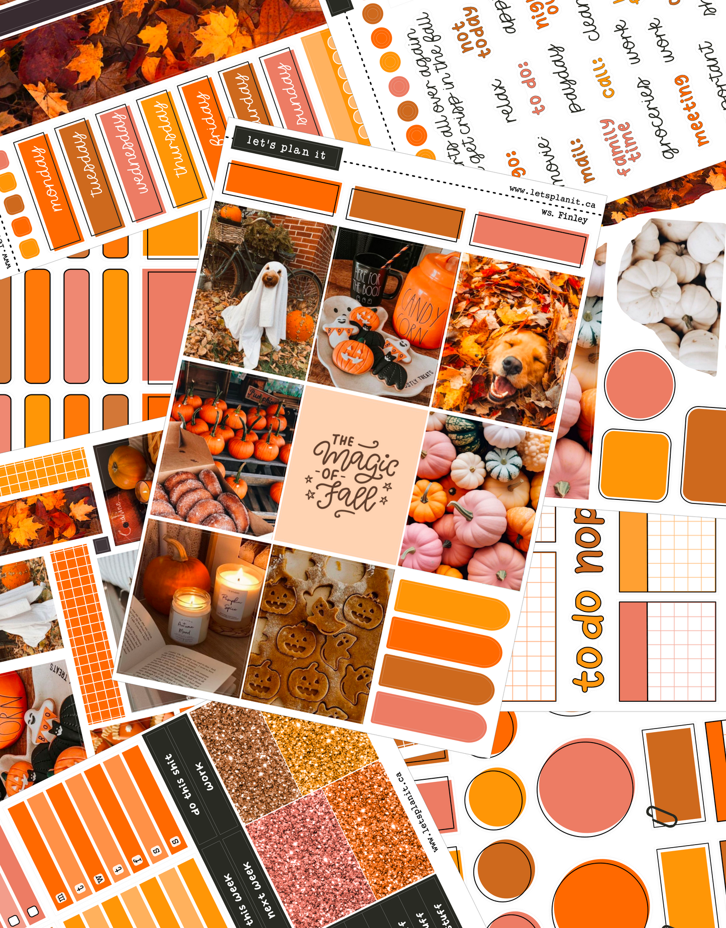 FINLEY COLLECTION | Weekly Kits