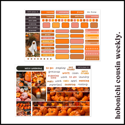 FINLEY COLLECTION | Weekly Kits