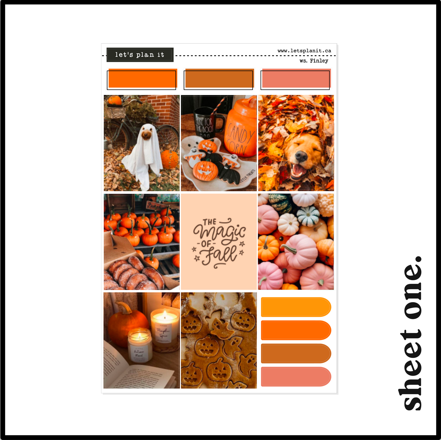 FINLEY COLLECTION | Weekly Kits