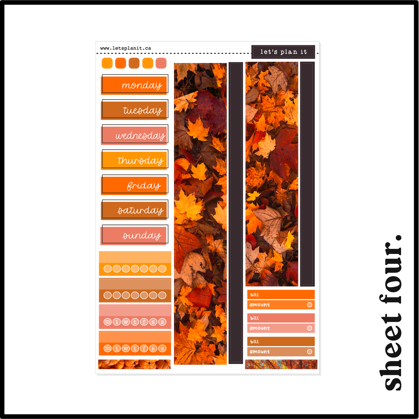 FINLEY COLLECTION | Weekly Kits