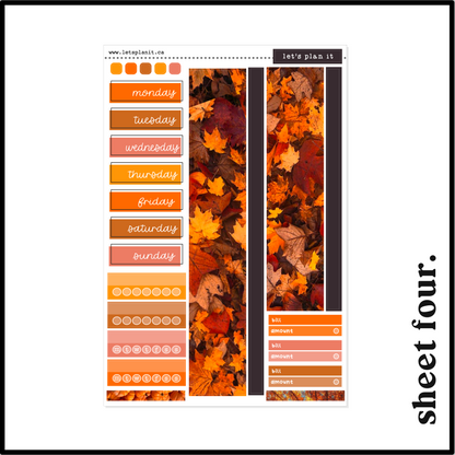 FINLEY COLLECTION | Weekly Kits
