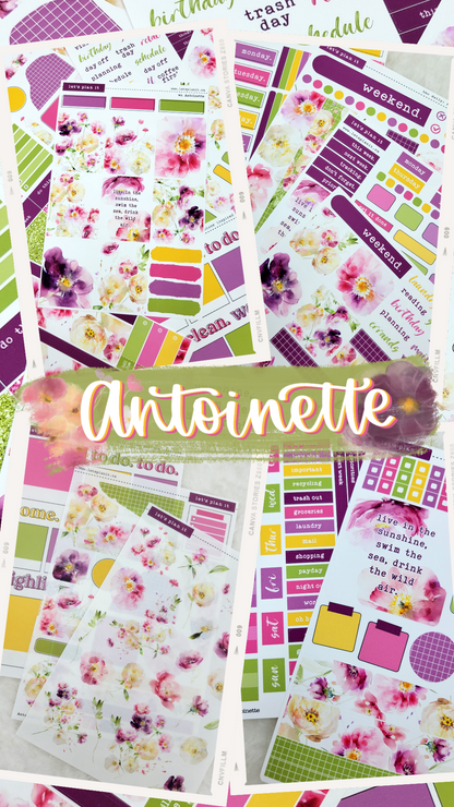 ANTOINETTE COLLECTION | Weekly Kits