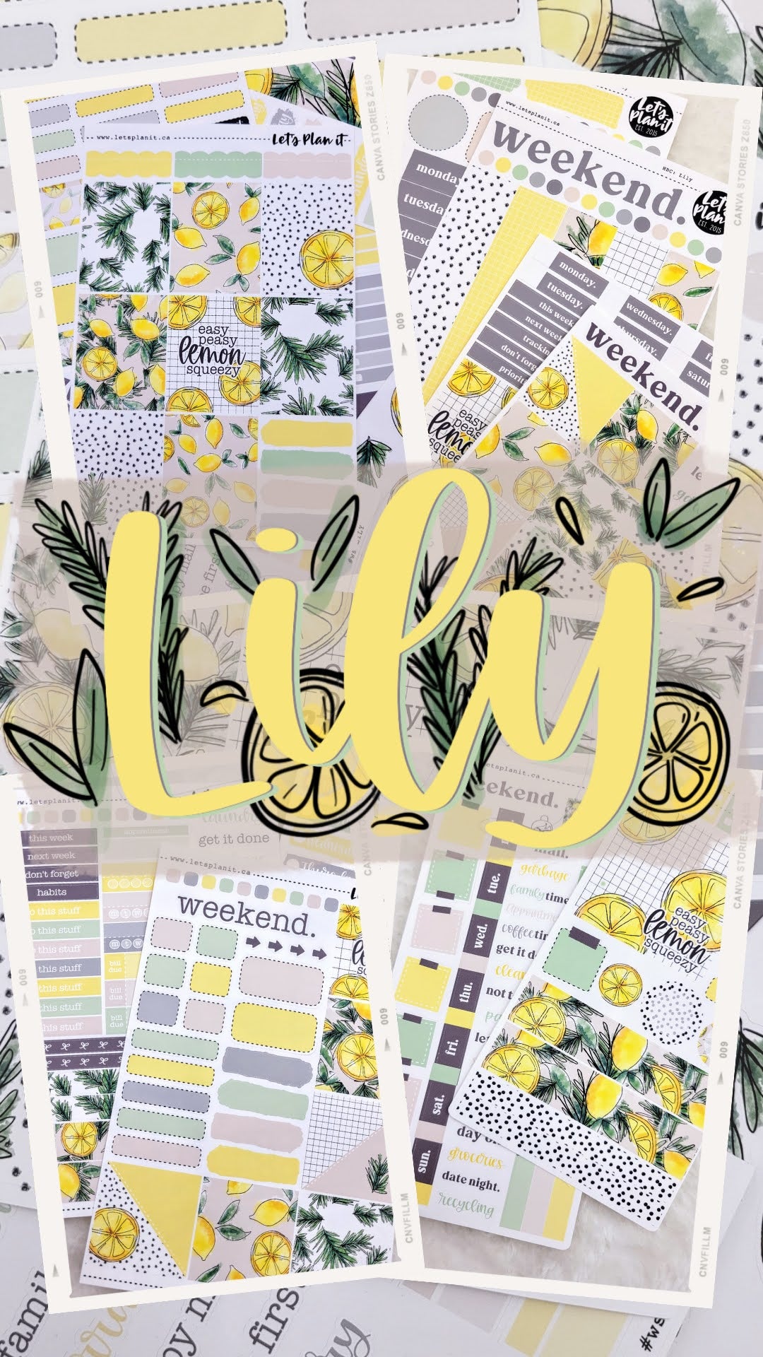 -- LILY COLLECTION | Weekly Kits