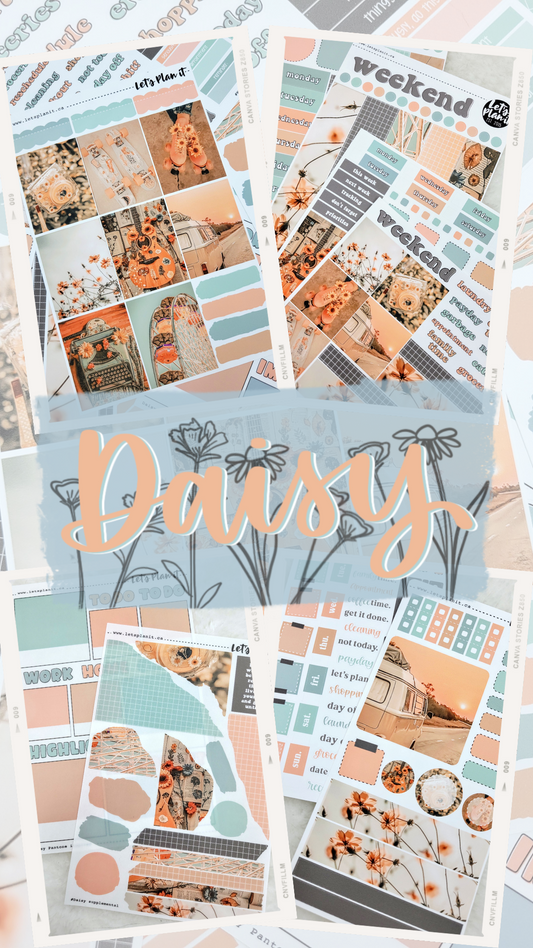 -- DAISY COLLECTION | Weekly Kits