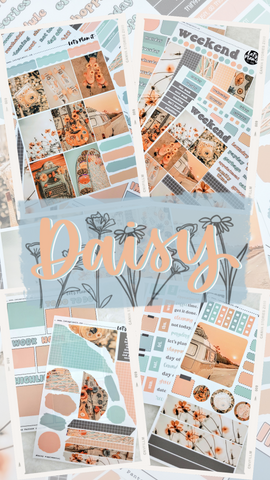 DAISY COLLECTION | Weekly Kits