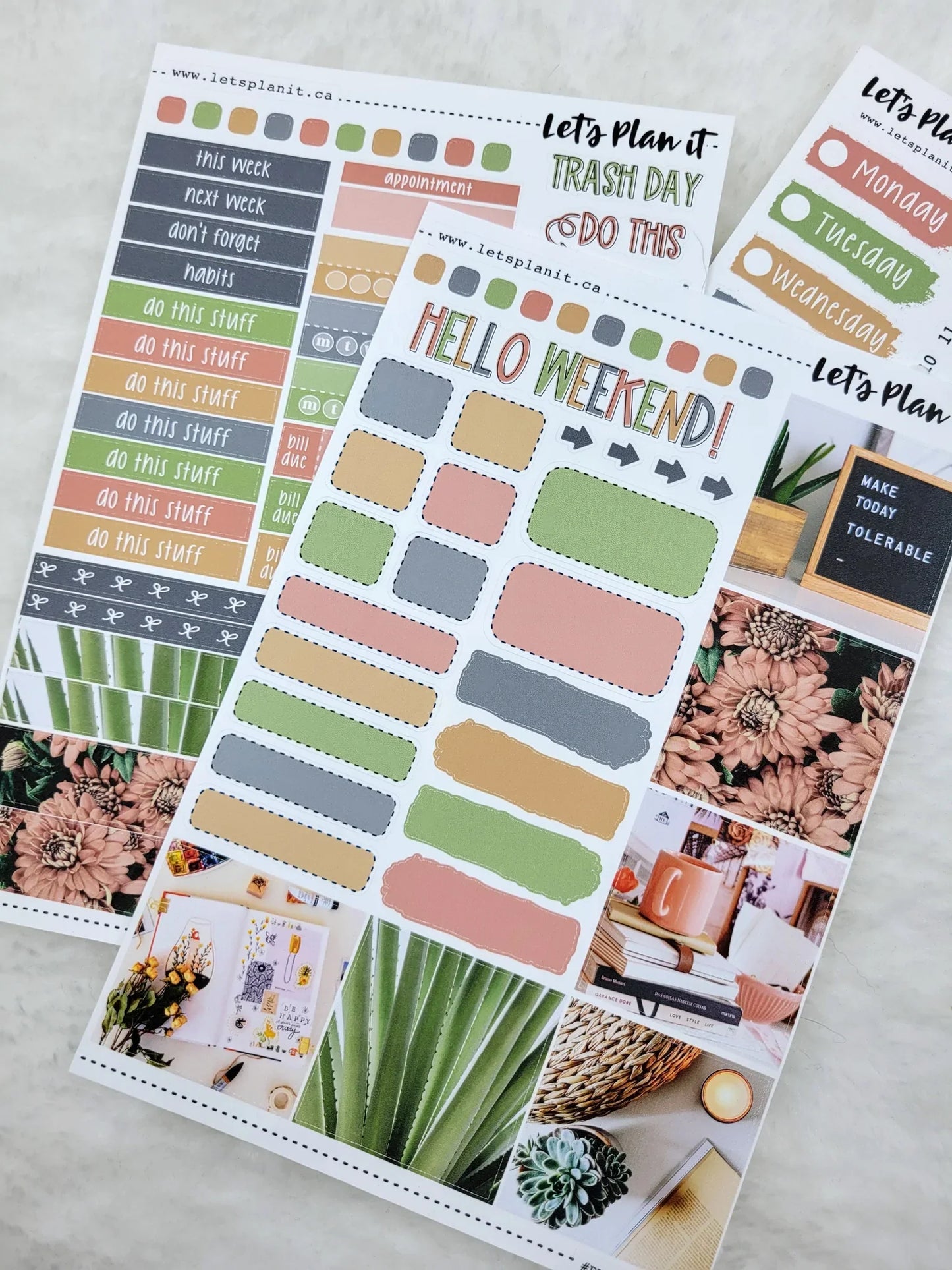 Blowout: ROSALIE COLLECTION | Weekly Kits