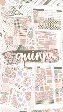 QUINN COLLECTION | Weekly Kits