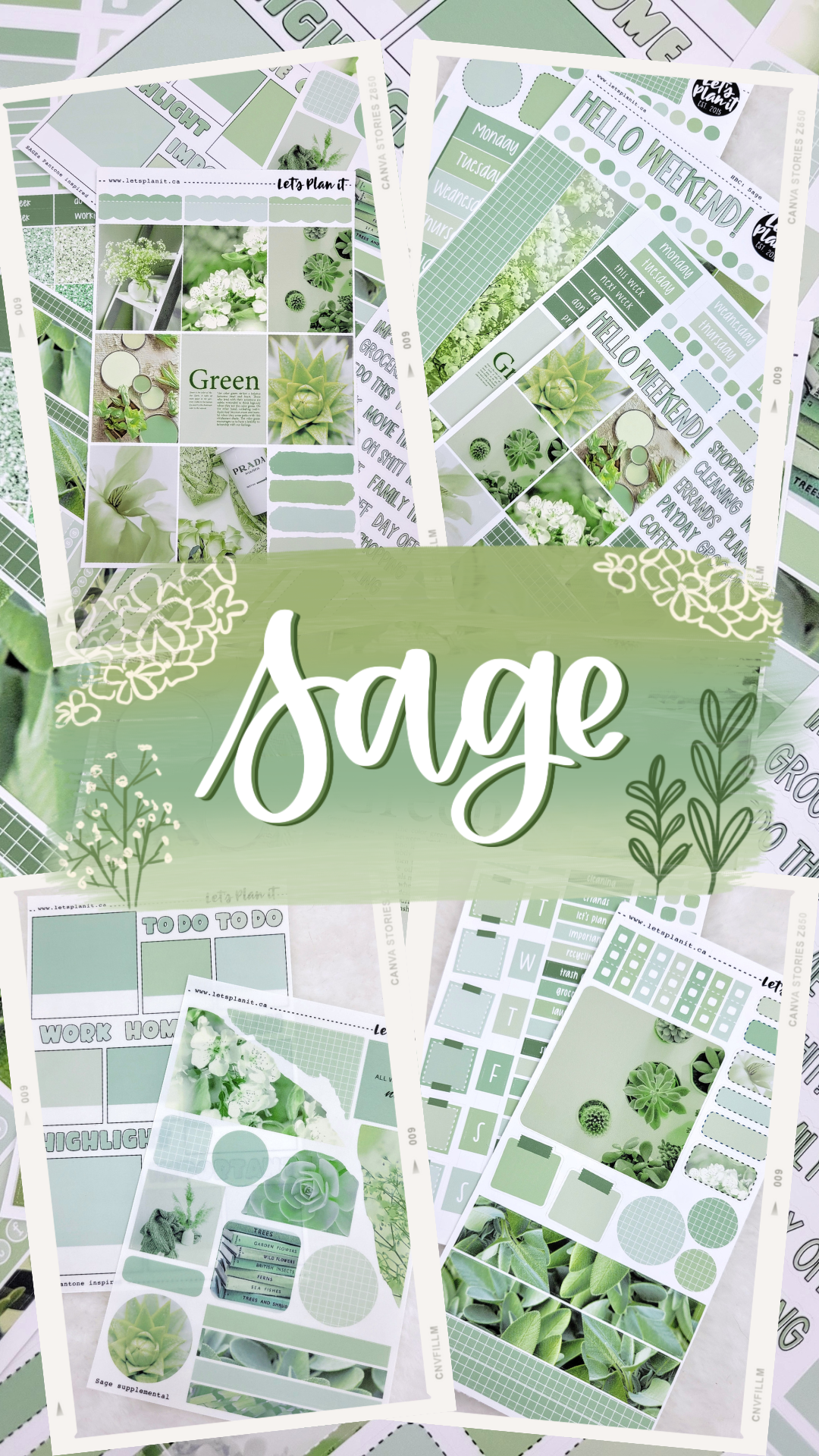 -- SAGE COLLECTION | Weekly Kits