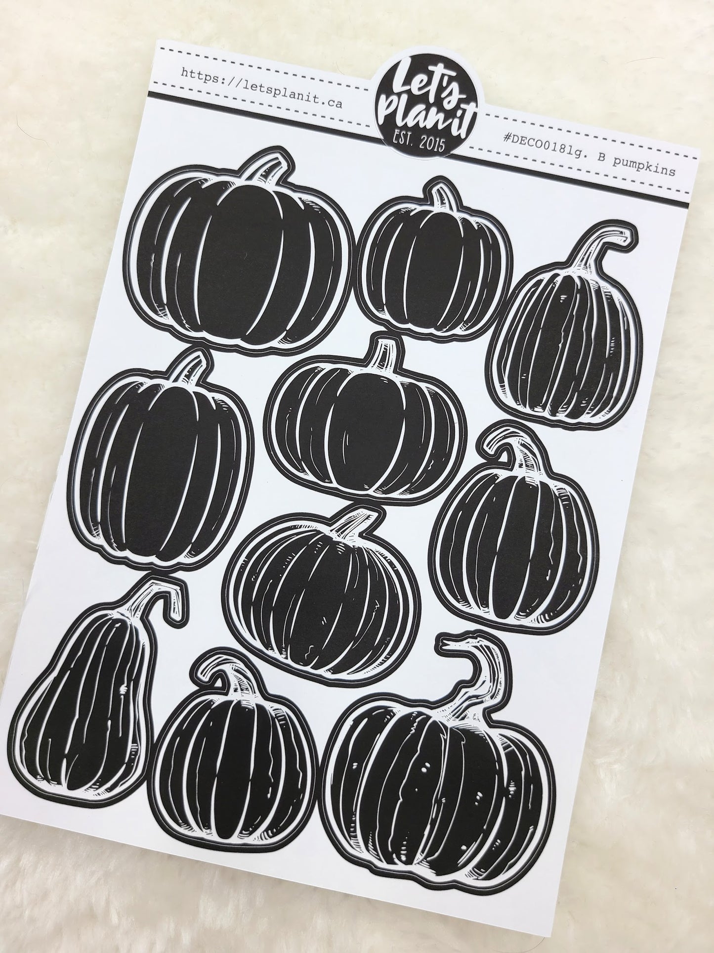 Large Pumpkins | Blackout | Deco