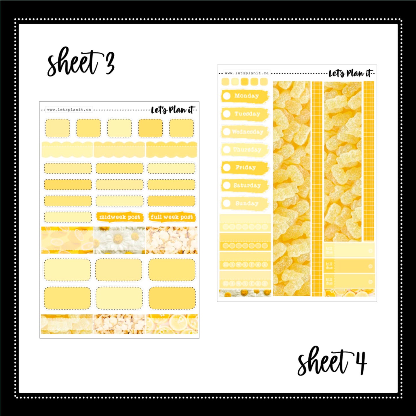 -- SUNNY COLLECTION | Weekly Kits